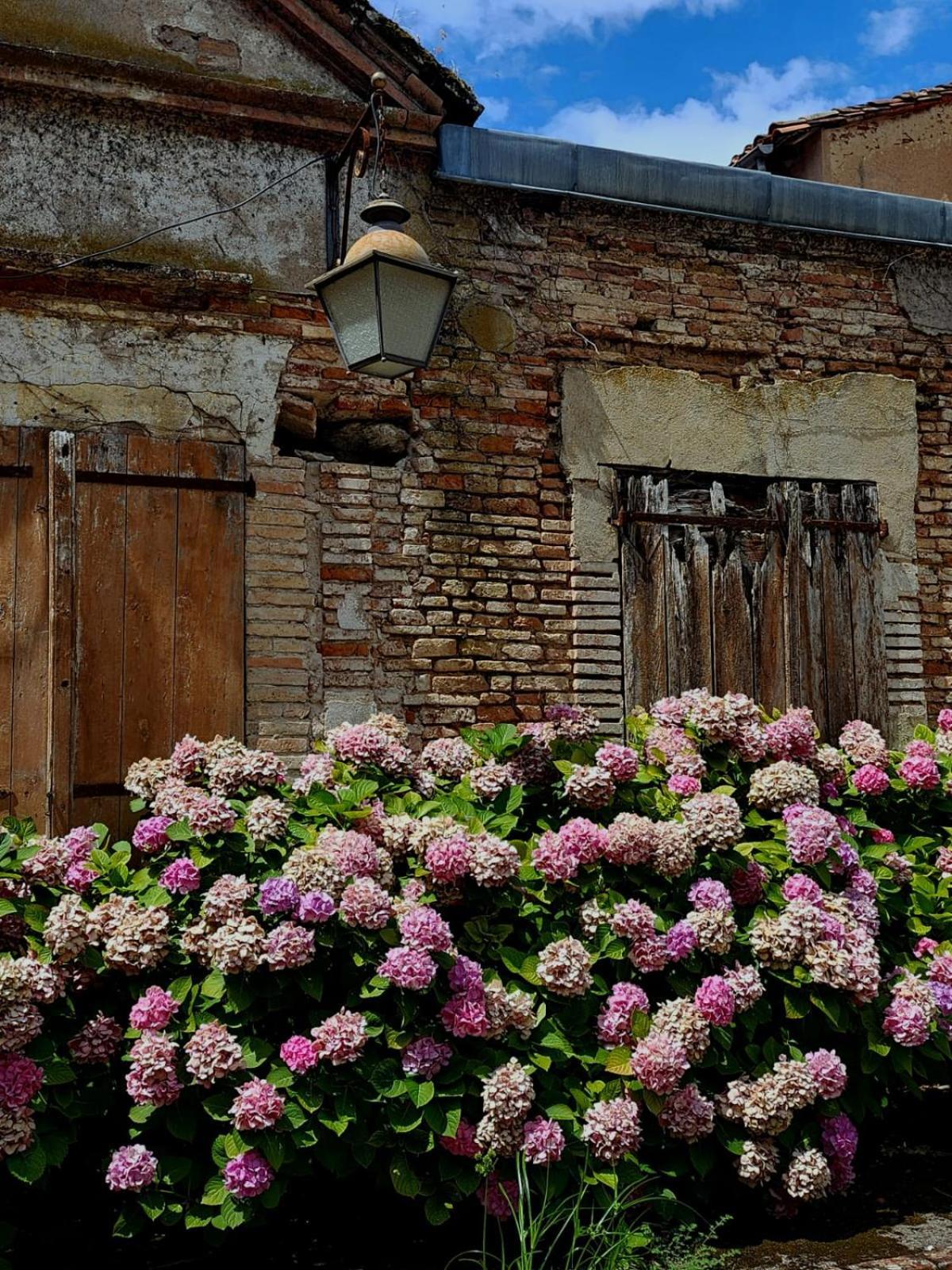 La Cour Verte Gaillac Exterior foto